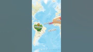 How the Sahara Desert Keeps the Amazon Rainforest Thriving