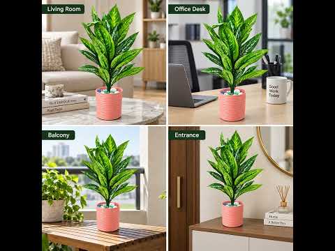 Product video