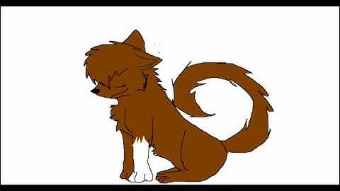 Animation Practice on Windows Movie Maker