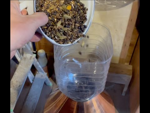 Джин "Плимутский"