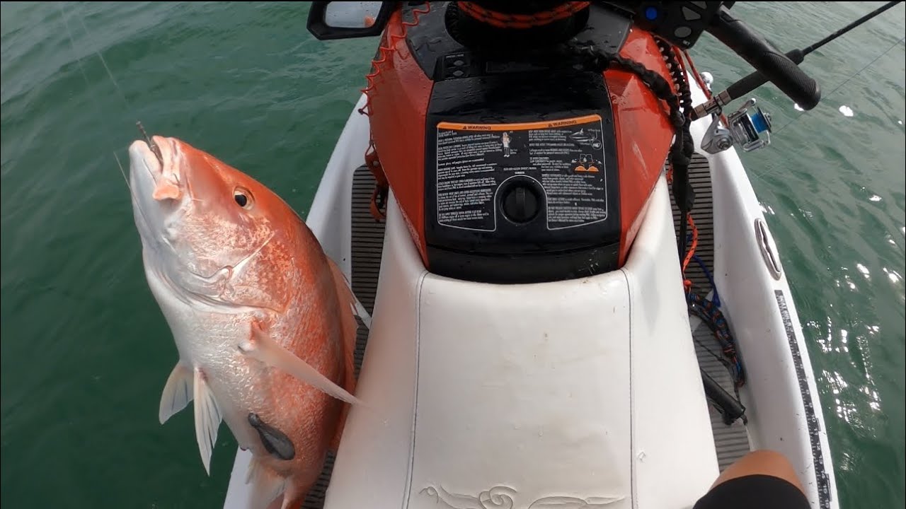 Unloading Red Snapper Red snappers 8 miles out! Sept 12th. Bring this bait.. - YouTube