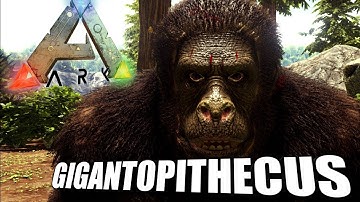 Taming A Gigantopithecus | Ark Survival Evolved | The Island