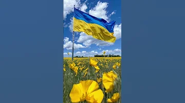 Кошик добра 