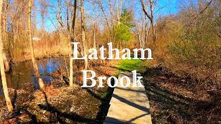 Latham Brook Preserve Trail Cleanup | Volunteers Restore Smithfield RI Hiking Trails 2026 #hiking