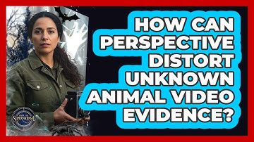 How Can Perspective Distort Unknown Animal Video Evidence?