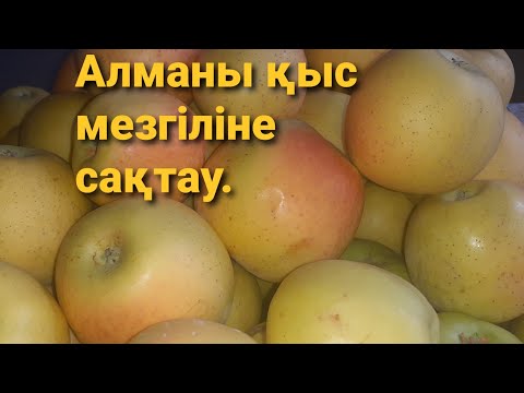 Бейне: Қыста алманы қалай ұстауға болады