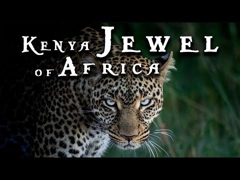 Kenya Jewel of Africa Best of African Wildlife Safaris