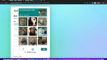 shopify App install demo