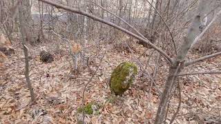 Српско Село Дојнице Код Призрена