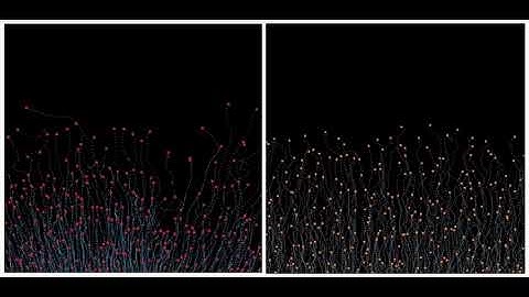 Immune cells shape their own path