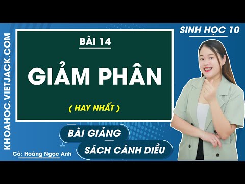 Video Giảm phân - Bài 14 - Sinh học 10 Cánh diều - Cô Ngọc... - youtube