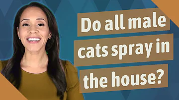 Do all male cats spray indoors?