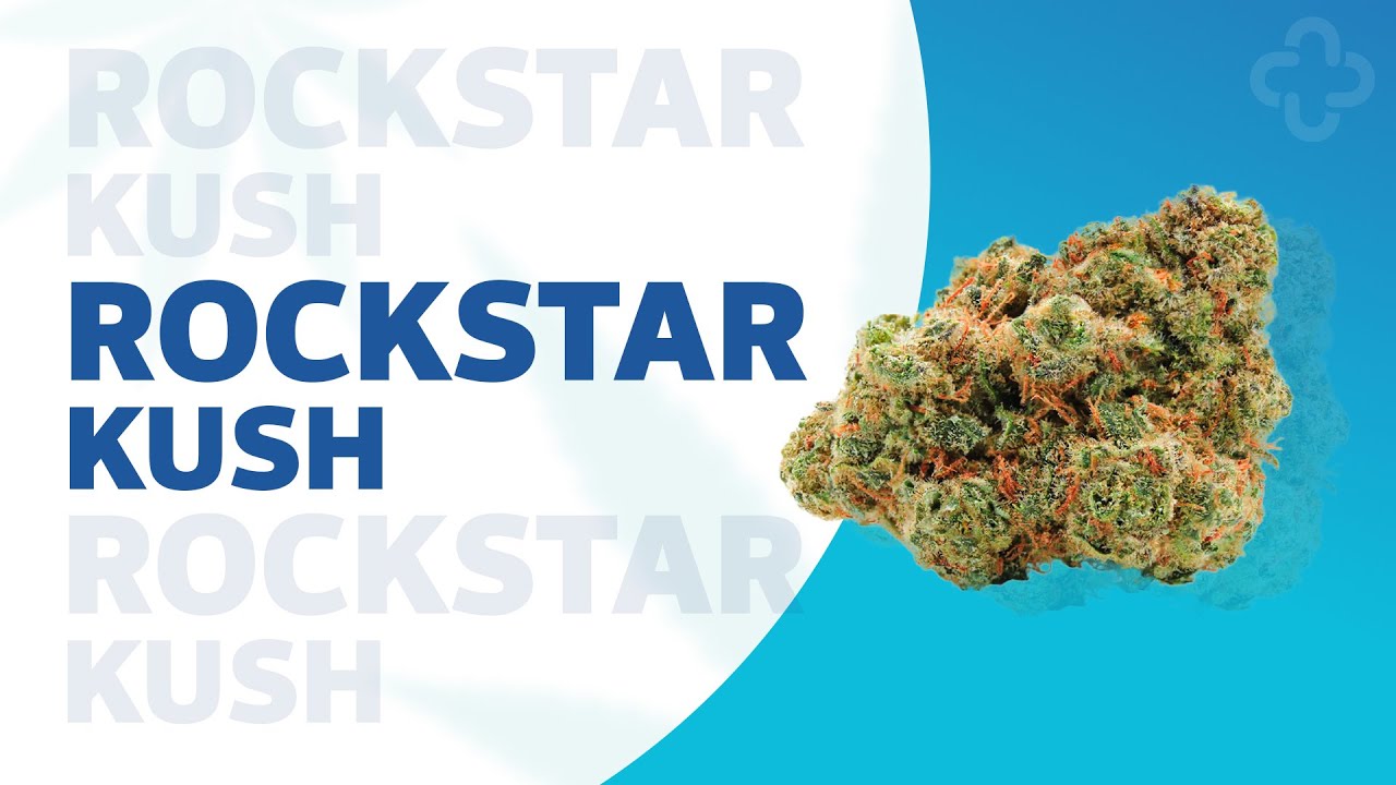 Rockstar Kush Strainview
