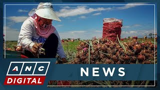 Rundown: DILG orders probe on 'harassment' of onion farmer | ANC