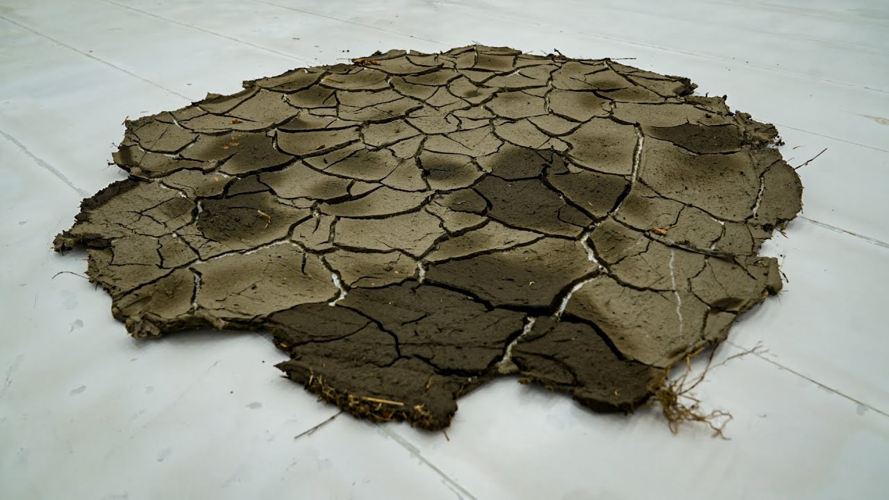 Super Dry Mud Mats! Can They Be Restored? Satisfying ASMR Carpet Cleaning