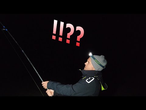 I CATCH a WEIRD fish at the bottom of the DUNE of PILAT! (SURFCASTING)