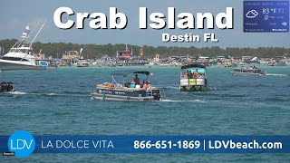LDV - Crab Island Destin FL 24/7 Livestream With AI Boat Counter