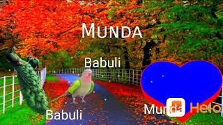 Babuli. munda