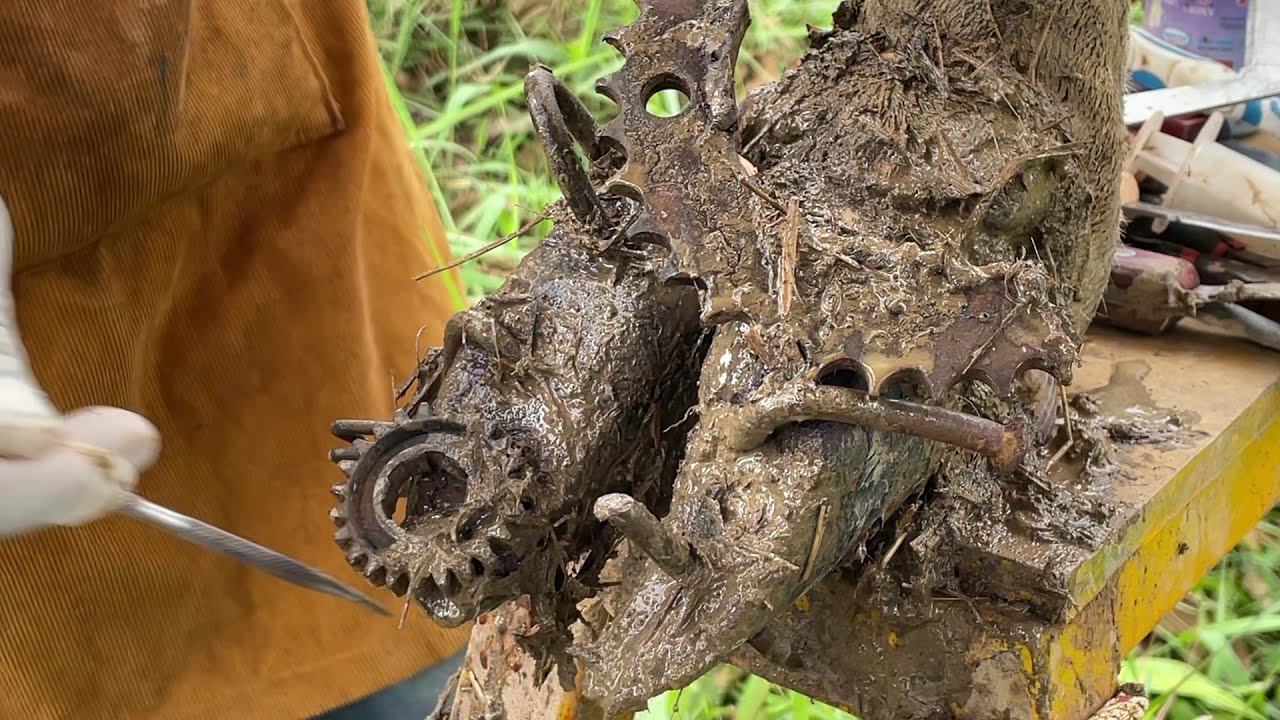 The Truth About Cow Hoof Infections — And How to Avoid Them