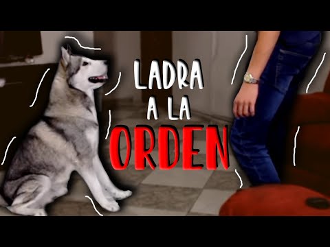 LADRIDO A LA ORDEN - MartGon