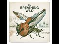 THE BREATHING WILD by DJ Solaris | Cinematic Nature Instrumental | Orchestral Wildlife Soundscape