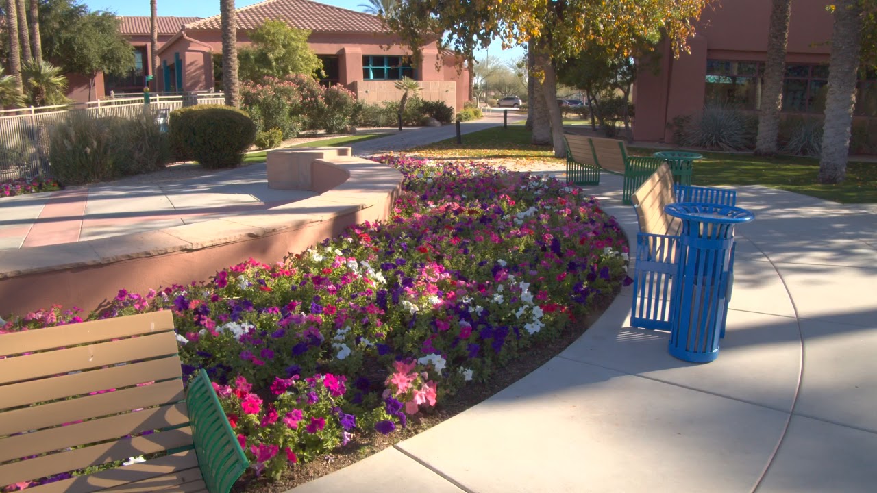 BMPCC4K BRAW to HDR10 60FPS.  Sonoran Plaza.