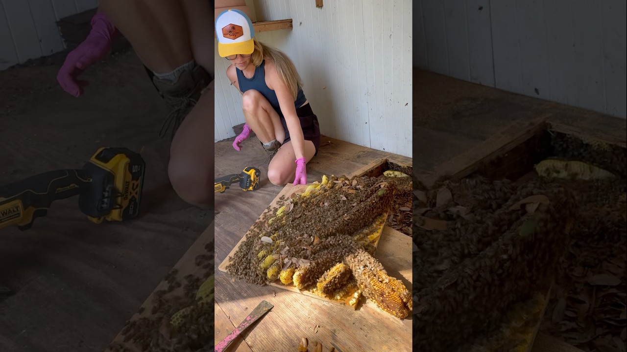 GUESS WHAT I FOUND!? 