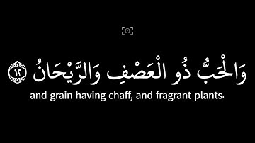 الرحمن علم القران خلق الانسان ياسر الدوسري شاشة سوداء سورة الرحمن