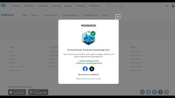 Prompt Builder Templates Superbadge Unit - Challenge 3 Solution
