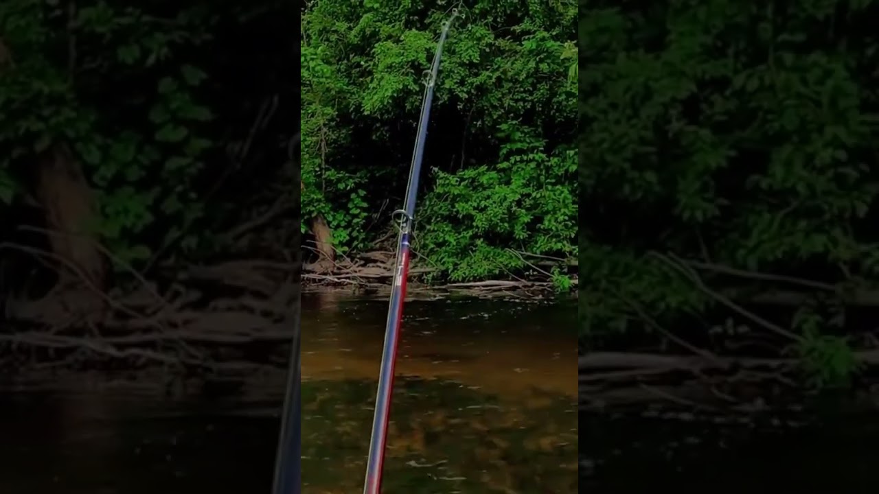 Fishing Changed My Mindset