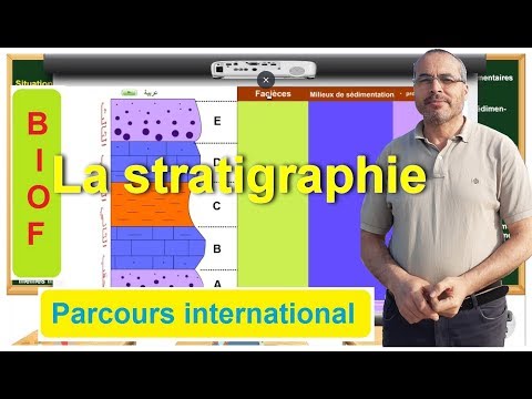 Vidéo: Contrats D'emploi D'infirmières Dans Les Hôpitaux Chinois: Impact Des Structures De Prestations Inéquitables Sur La Satisfaction Des Infirmières Et Des Patients