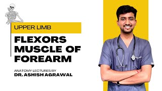 Flexor Muscles of Forearm || Upper Limb Anatomy || First Year MBBS || Anatomy lectures by Ashish