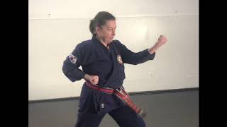 Tang Soo Do blocks (with terminology)