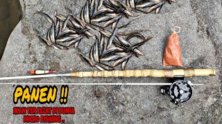 Mancing UCENG di sungai yang sempat viral (GROJOKAN LIMO) auto panen .. (micro fishing)