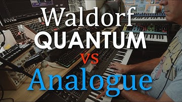 Waldorf Quantum vs Analogue