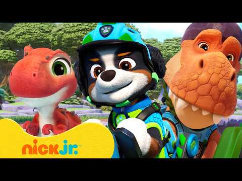 NEW PAW Patrol Moments on Dino Island! 🦖 | PAW Patrol | Nick Jr.