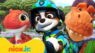 NEW PAW Patrol Moments on Dino Island! 🦖 | PAW Patrol | Nick Jr.