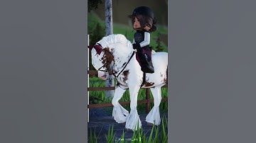 Why is the text so offbeat 🤦‍♀️ #horse #strideway #maplespringseventing #edit #equestrian #gypsycob