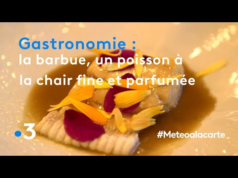 gastronomie-:-la-barbue,-un-poisson-à-la-chair-fine-et-parfumée---météo-à-la-carte