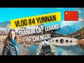 Attaque de yak et panda en cage  vlog4 yunnan chine