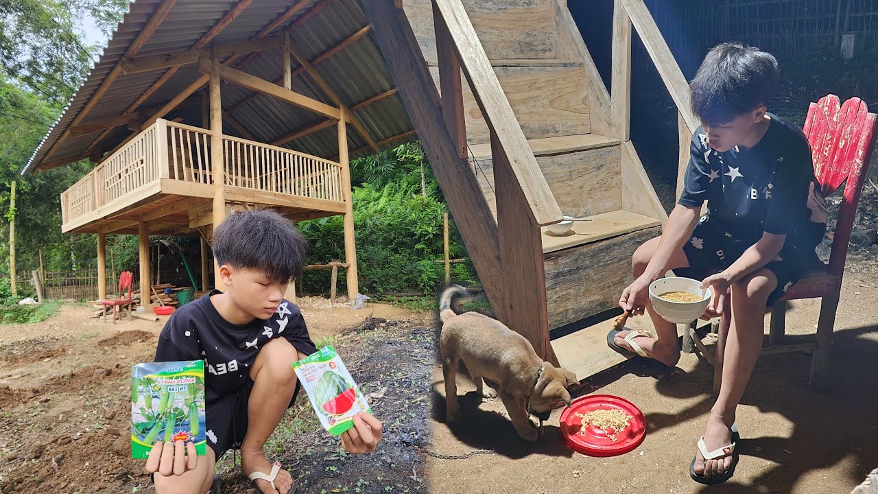 Finishing the stair railing - Khanh grows vegetables and buys a dog to guard the house