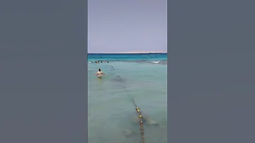 ЕГИПЕТ 🇪🇬 ПЛЯЖ ORANGE BEACH ЧЕРЕЗ 10 ДНЕЙ ПОСЛЕ НАПАДЕНИЯ АКУЛЫ 🦈