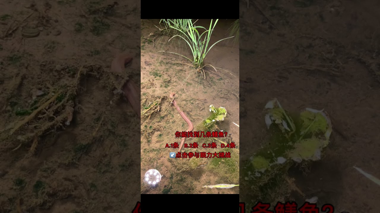 Amazing fishing ell Ep 304