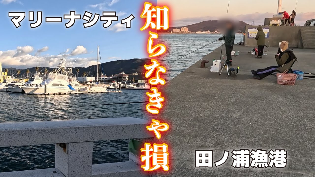 和歌山マリーナシティと田ノ浦漁港アジは釣れるのか調査してみた