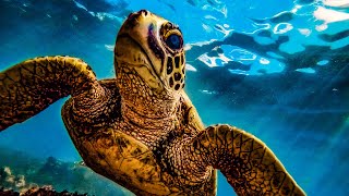 Beautiful Oceans Relaxation - 10 minutes - Ep  3