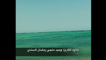 الصلاة على النبي صلى الله عليه وسلم بصوت القارئ وحيد منجي رمضان السندي ١
