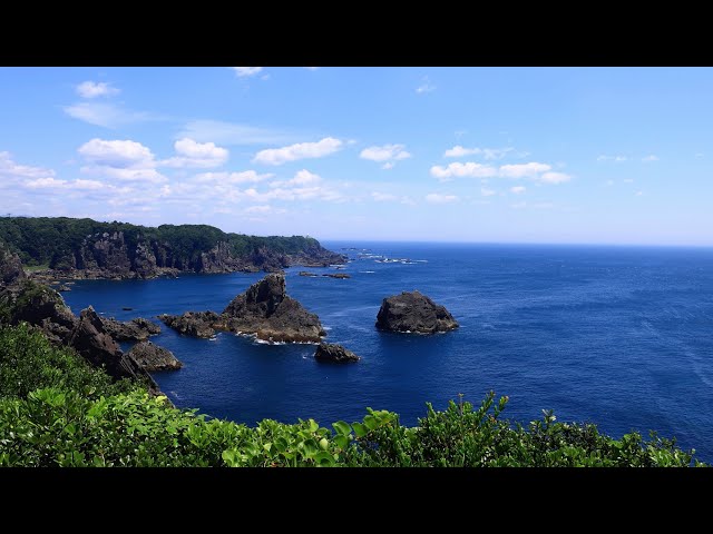 送込）本州最南端の地より　活け伊勢エビ　＠５００グラム以上で２キロ（和歌山 和歌山：伊勢エビ 生きよし ：地域ニュース : 読売新聞