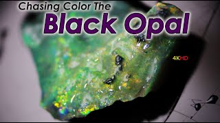 Chasing Color, The Black Opal Cutting Exposing This Opal Rough Direct from the Mine a new find!