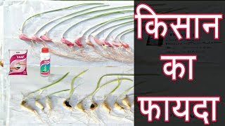 | How to use upl startup saaf + reno | seed treatment beej upchar |