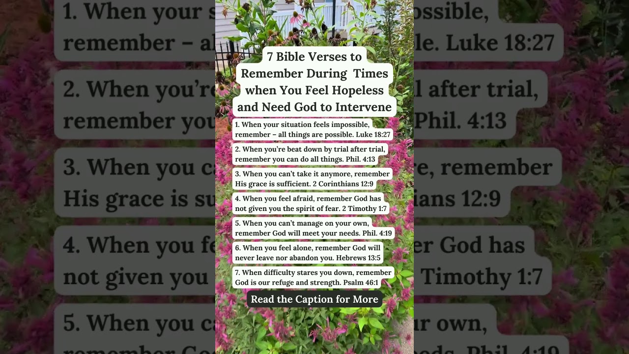 7 Bible Verses to Remember During Times When You Feel Hopeless and Need God to Intervene 